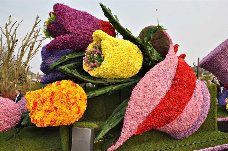 Знаменитые цветочные фестивали мира