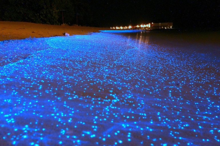 Биолюминисцентный берег на Мальдивах