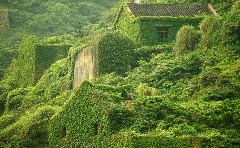 Хоутоувань, самая зеленая деревня в Китае