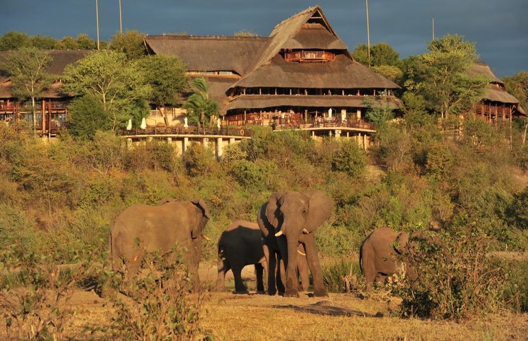 Зимбабве, Африка.