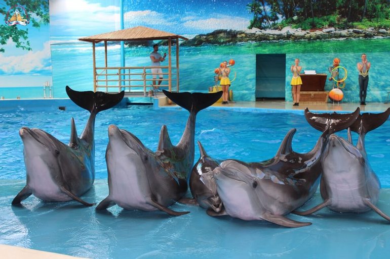 Дельфинарий в Анапе