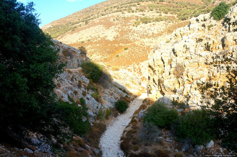 Гора Мирон в Израиле