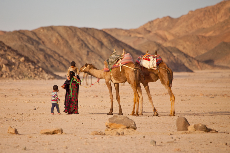 Одиночество в Синайской пустыне