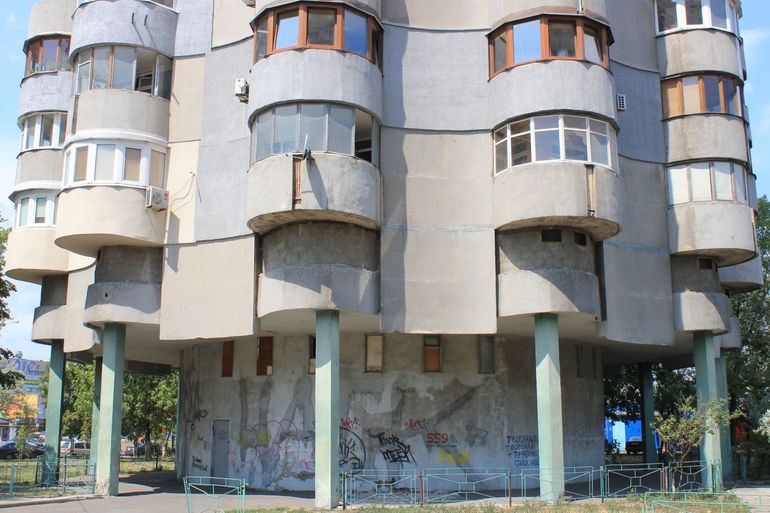 Дом ромашка в Киеве