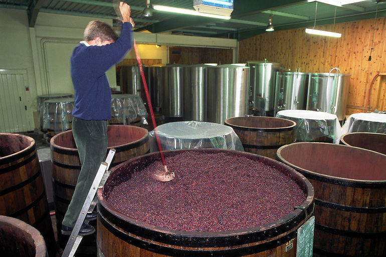 Местные фермеры контролируют все этапы изготовления вина 