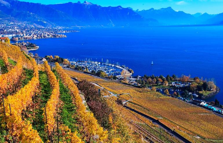 Невероятная красота  виноградников Лаво в Швейцарии