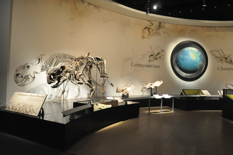 Музей динозавров самый большой в мире